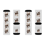 Chihuahua Sublimation Socks, Polyester & Spandex, 3 Sizes, FREE Shipping, Made in the USA!!