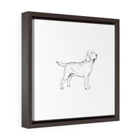 Labrador Retriever Square Framed Premium Gallery Wrap Canvas