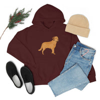 Chesapeake Bay Retriever Unisex Heavy Blend Hooded Sweatshirt, S - 5XL, 12 Colors, Cotton/Polyester, FREE Shipping, Made in Usa!!