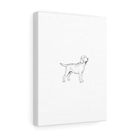 Labrador Retriever Stretched canvas