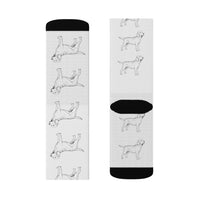 Labrador Retriever Sublimation Socks