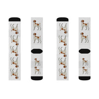 Brittany Dog Sublimation Socks, 3 Sizes, FREE Shipping, Made in USA!!