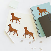 Rhodesian Ridgeback Sticker Sheets, 2 Sizes, Water Resistant Vinyl, Indoor/Outdoor, FREE Shipping, Made in USA!!