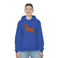Rhodesian Ridgeback Unisex Heavy Blend™ Hooded Sweatshirt, S - 5XL, 12 Colors, Cotton/Polyester, FREE Shipping, Made in USA!!