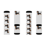 Dachshund Sublimation Socks, 3 Sizes, Polyester/Acrylic/Nylon/Spandex, FREE Shipping, Made in USA!!