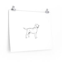 Labrador Retriever Premium Matte horizontal posters