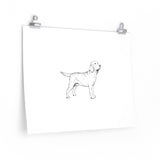 Labrador Retriever Premium Matte horizontal posters