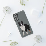 Border Collie Tough Cell Phone Cases, iPhone, Samsung, 2 Layer Case, Impact Resistant, Photographic Print Quality, FREE Shipping, Made in the USA!!