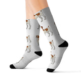 Brittany Dog Sublimation Socks, 3 Sizes, FREE Shipping, Made in USA!!