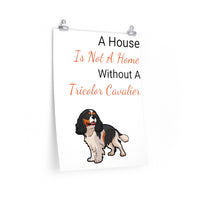 Tricolor Cavalier King Charles Spaniel Premium Matte vertical posters