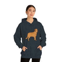 Chesapeake Bay Retriever Unisex Heavy Blend Hooded Sweatshirt, S - 5XL, 12 Colors, Cotton/Polyester, FREE Shipping, Made in Usa!!