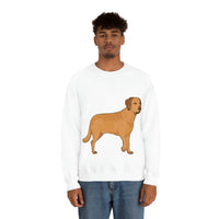 Chesapeake Bay Retriever Unisex Heavy Blend Crewneck Sweatshirt, 6 Colors, S - 3XL, Cotton/Polyester, FREE Shipping, Made in USA!!