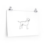 Labrador Retriever Premium Matte horizontal posters