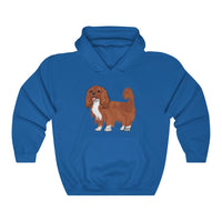 Ruby Cavalier King Charles Spaniel Unisex Heavy Blend™ Hooded Sweatshirt, S - 5XL, 12 Colors, Cotton/Polyester, Made in the USA!!