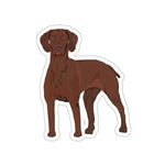 Vizsla Die-Cut Stickers, Indoor and Outdoor Use, Waterproof, Matte Finish, FREE Shipping, Made in the USA!!