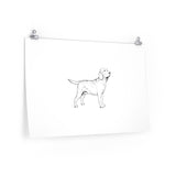 Labrador Retriever Posters