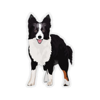 Border Collie Kiss-Cut Stickers, White or Transparent, 4 Sizes, Indoor, Not Waterproof, FREE Shipping, Made in USA!!