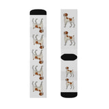 Brittany Dog Sublimation Socks, 3 Sizes, FREE Shipping, Made in USA!!