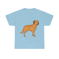 Chesapeake Bay Retriever Unisex Heavy Cotton Tee, S - 5XL, 12 Colors, Medium Fabric, FREE Shipping, Made in USA!!