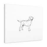 Labrador Retriever Canvas Gallery Wraps