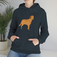 Chesapeake Bay Retriever Unisex Heavy Blend Hooded Sweatshirt, S - 5XL, 12 Colors, Cotton/Polyester, FREE Shipping, Made in Usa!!