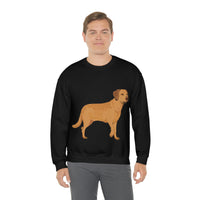 Chesapeake Bay Retriever Unisex Heavy Blend Crewneck Sweatshirt, 6 Colors, S - 3XL, Cotton/Polyester, FREE Shipping, Made in USA!!