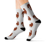 Ruby Cavalier King Charles Spaniel Sublimation Socks, 3 Sizes, Polyester/Spandex, FREE Shipping, Made in USA!!