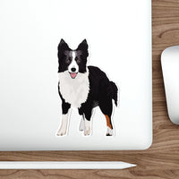 Border Collie Die-Cut Stickers, 5 Sizes, Water Resistant Vinyl, Waterproof Adhesive, Indoor/Outdoor, Matte Finish, FREE Shipping, Made in USA!!