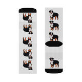 Bernese Mountain Dog Sublimation Socks