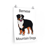 Bernese Mountain Dog Premium Matte vertical posters