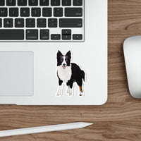 Border Collie Die-Cut Stickers, 5 Sizes, Water Resistant Vinyl, Waterproof Adhesive, Indoor/Outdoor, Matte Finish, FREE Shipping, Made in USA!!