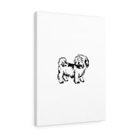 Shih Tzu Canvas Gallery Wraps