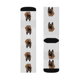 Belgian Malinois Sublimation Socks, long socks, small, medium, large, Made in the USA!!