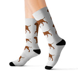 Rhodesian Ridgeback Sublimation Socks, 3 Sizes, Polyester/Spandex, Cushioned Bottoms, FREE Shipping, Made in USA!!