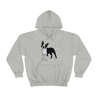 Boston Terrier Unisex Heavy Blend™ Hooded Sweatshirt, S - 5XL, 12 Colors, Cotton/Polyester, FREE Shipping, Made in USA!!