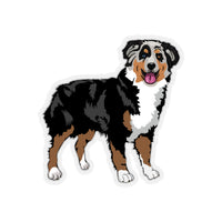 Australian Shepherd Kiss-Cut Stickers, 4 Sizes, Indoor/Outdoor Use, White or Transparent, FREE Shipping, Made in USA!!