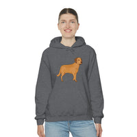 Chesapeake Bay Retriever Unisex Heavy Blend Hooded Sweatshirt, S - 5XL, 12 Colors, Cotton/Polyester, FREE Shipping, Made in Usa!!