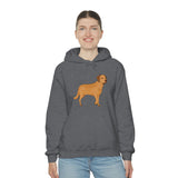 Chesapeake Bay Retriever Unisex Heavy Blend Hooded Sweatshirt, S - 5XL, 12 Colors, Cotton/Polyester, FREE Shipping, Made in Usa!!