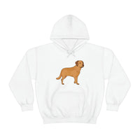 Chesapeake Bay Retriever Unisex Heavy Blend Hooded Sweatshirt, S - 5XL, 12 Colors, Cotton/Polyester, FREE Shipping, Made in Usa!!
