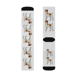 Brittany Dog Sublimation Socks, 3 Sizes, FREE Shipping, Made in USA!!