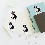 Border Collie Sticker Sheets, 2 Sizes, Water Resistant Vinyl, Indoor/Outdoor, FREE Shipping, Made in the USA!!