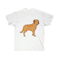Chesapeake Bay Retriever Unisex Ultra Cotton Tee, S - 5XL, 10 Colors, Medium Fabric, FREE Shipping, Made in Usa!!