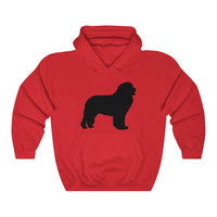 Newfoundland Unisex Heavy Blend™ Hooded Sweatshirt, 12 Colors, S - 5XL, FREE Shipping, Made in USA!!