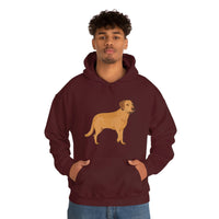 Chesapeake Bay Retriever Unisex Heavy Blend Hooded Sweatshirt, S - 5XL, 12 Colors, Cotton/Polyester, FREE Shipping, Made in Usa!!