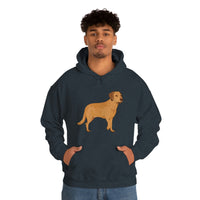 Chesapeake Bay Retriever Unisex Heavy Blend Hooded Sweatshirt, S - 5XL, 12 Colors, Cotton/Polyester, FREE Shipping, Made in Usa!!