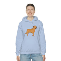 Chesapeake Bay Retriever Unisex Heavy Blend Hooded Sweatshirt, S - 5XL, 12 Colors, Cotton/Polyester, FREE Shipping, Made in Usa!!