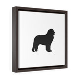 Newfoundland Square Framed Premium Gallery Wrap Canvas