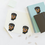 Rottweiler Sticker Sheets, 2 Image Sizes, 3 Image Surfaces, Water Resistant Vinyl, FREE Shipping, Made in USA!!