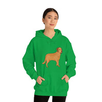 Chesapeake Bay Retriever Unisex Heavy Blend Hooded Sweatshirt, S - 5XL, 12 Colors, Cotton/Polyester, FREE Shipping, Made in Usa!!
