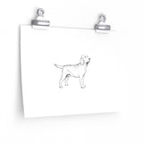 Labrador Retriever Premium Matte horizontal posters